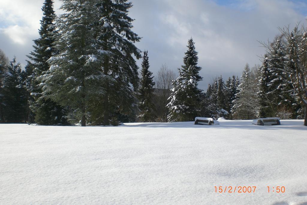 Ferienhaus Am Geiersberg Walkenried ภายนอก รูปภาพ
